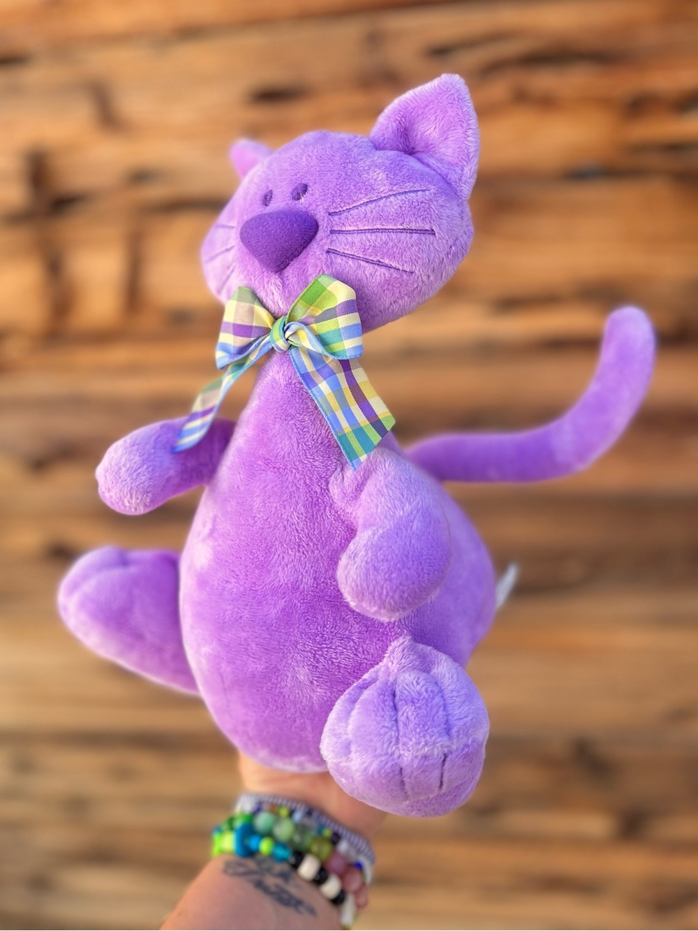 JOOJOO | Purple Plush FANCY Cat 10” Kitten Kitty Cat